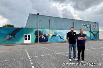 Nieuwe muurschildering klaar voor heropening van sportcentrum: “Vooral de bedoeling om de fantasie te prikkelen”