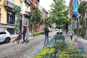 Burgerideeën maken Brussel groener