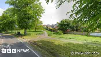 Owner foils attempt by armed man to steal her dog