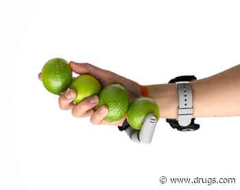 Coming to Grips With a Third Thumb