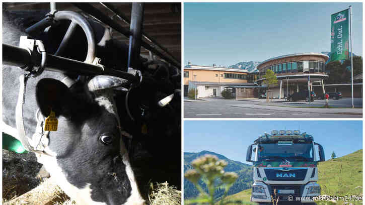 „Die Bergbauern Lüge“? Molkerei Berchtesgadener Land reagiert auf „Märchen-Image“-Vorwürfe