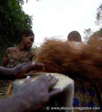 Music Helped Connect Hunter-Gatherer Groups in Central Africa