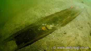 Prehistoric discovery in US lake leaves experts in awe as divers race to find more