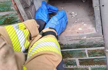 FW-GE: Tierrettung an Fronleichnam