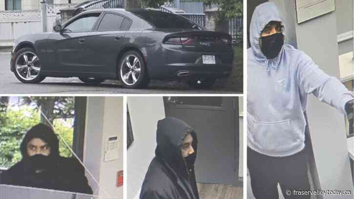 RCMP looking to ID suspects who brandished guns in Fraser Valley robbery