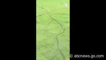 WATCH:  ‘Crazy’ lightning pattern found on Ohio golf course after thunderstorm