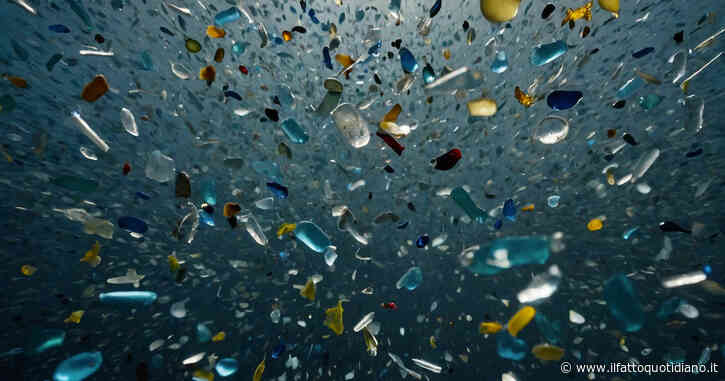 Microplastiche trovate nei testicoli umani: preoccupazione per la fertilità maschile. Lo studio dell’Università del New Mexico