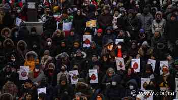 Supreme Court rejects attempt by Flight PS752 victims' families to seize Iranian assets