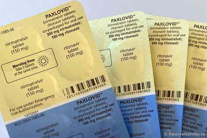 B.C. government to pay for COVID-19 drug Paxlovid after feds drop coverage