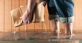 Nooit water in je kelder gehad en nu wel? Dan is dit de oorzaak (en zo kom je er vanaf)
