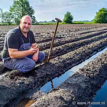 Boer Coen redt verzopen aardappels met de schop: “Dit is wel monnikenwerk”