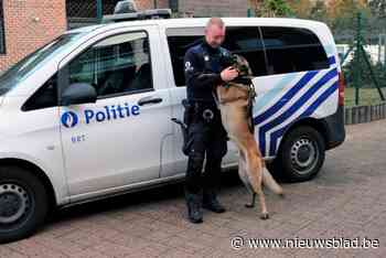 Politiehond Vice krijgt “ontslag”, en dat heeft alles met de schorsing van zijn baasje te maken