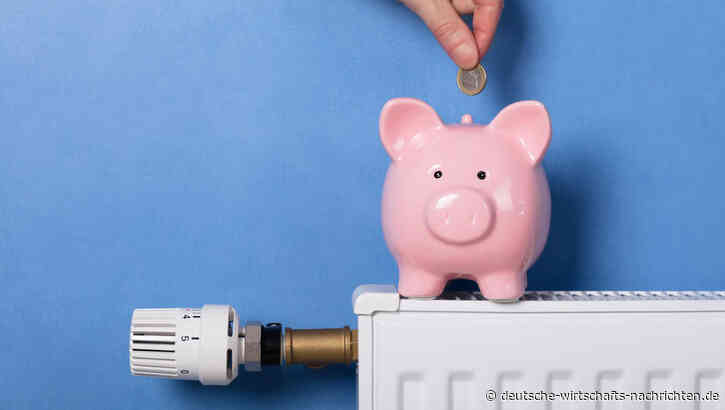 Heizkostenabrechnung: Mietervereine warnen vor Nachzahlungen und geben Tipps
