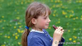 „Ähnlich süßer Geschmack“: Forscher entwickeln nachhaltige und gesunde Schokolade