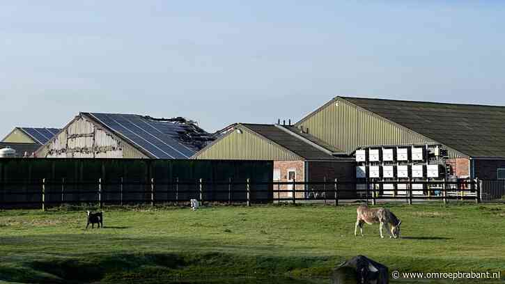 Onduidelijkheid blijft: politie kan niet zeggen of stalbrand is aangestoken
