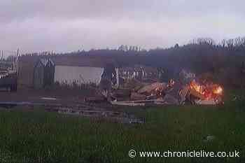 Fly-tipper caught on camera dumping waste before it was set alight in Sunderland