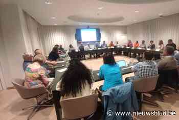 Eind goed, al goed: Pelt beschikt opnieuw over domeinnaam ‘Overpelt.be’