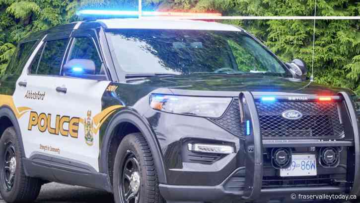 Abbotsford PD arrests 200+ in ‘Project Spotlight’ meant to target violent repeat offenders