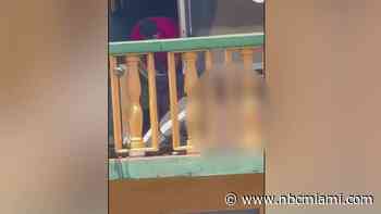 Man caught on video attacking dog in North Miami arrested for animal cruelty