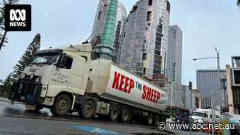 'Enough is enough': More than 1,000 trucks descend on Perth in live export ban protest