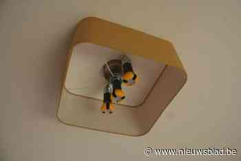 Basisschool De Platanen krijg ledverlichting