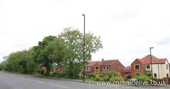 Another 200 homes could be approved for Wallsend housing development