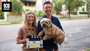 'Funny, a bit cringe and real': Why Colin From Accounts is resonating with viewers