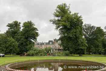Oude lindeboom voor het kasteel heeft het begeven