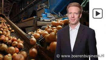 Het is een taaie week in de uienhandel