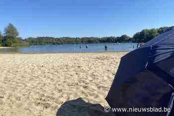 Meer lokale handelaars en een speeltoestel in de Plas: dit is hoe inwoners willen dat gemeente er in 2031 uitziet