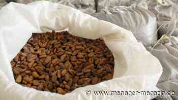 Kakaopreis verdreifacht, auch Kaffee deutlich teurer