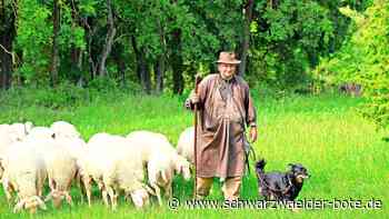Klaus Mack in Gültlingen: Bürokratie ist beim Schäfer größeres Problem als der Wolf