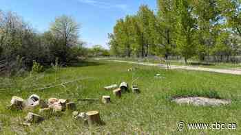 Secluded former campground in Regina will become site for Indigenous ceremonies