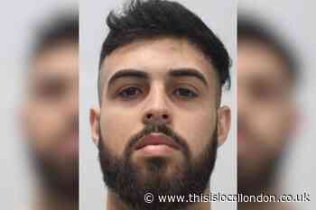 Neeld Crescent, Wembley stabbing: Killer gets hospital order