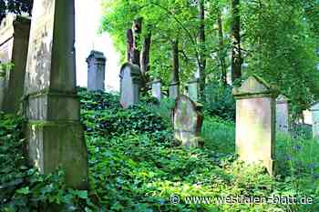 Stadtführung durch das historische Steinheim