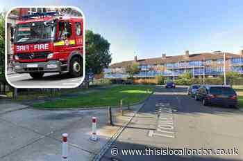 Trowbridge Road, Harold Hill flat fire: Six dogs killed