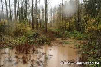 GEMEENTERAAD. Hoeselt gesanctioneerd omdat holle weg illegaal verhard werd: “Ter compensatie elders verharding weghalen”