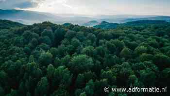 Marketing toegankelijk maken voor kleine groene merken