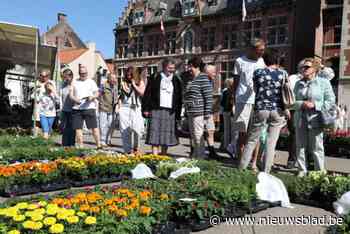 Bloemen- en zuiderse markt gaat niet door: “Te weinig interesse”