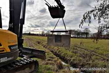 Netwerk van 54 stuwen helpt Peerse landbouwers water te controleren: “Een eenvoudig maar doeltreffend design”