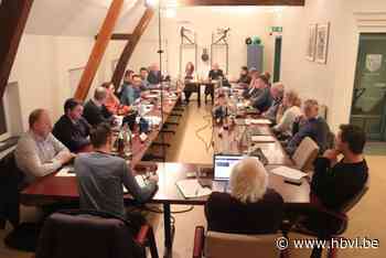 GEMEENTERAAD. Herk-de-Stad lanceert platform voor vrijwilligers