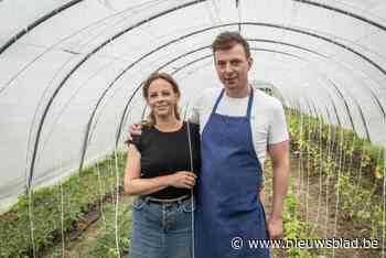 Bistro ’t Verschil pakt deze zomer uit met nieuw concept: “Tussen de velden culinair genieten van verse producten”