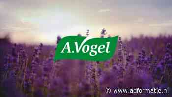 A.Vogel overtreft AutoWeek benchmarks in hoogste versnelling