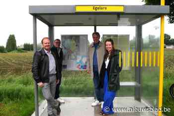 Stad motiveert inwoners om auto maand lang aan de kant te laten staan: “Beter voor milieu en goed voor portemonnee”