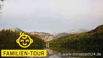 Zum „Ungeheuer“ von Loch Hecht