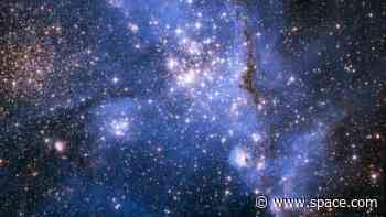 Massive, magnetic stars beyond the Milky Way detected for the 1st time