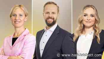 Musterdepot – Nachhaltigkeits-Depot : Alte Börsenweisheit ade? Vier Trends an den Märkten