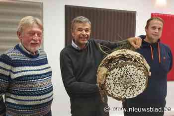 Imkers vangen meer dan 112 koninginnen van Aziatische Hoornaar: “We moeten al in voorjaar actie ondernemen”