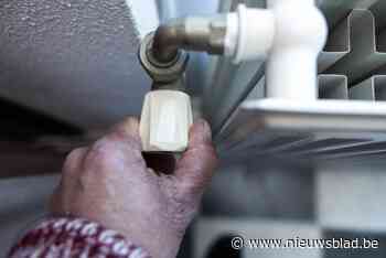 Risico op armoede licht gedaald in Malle, ook minder leefloners dan vorig jaar