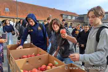 Guldensporencollege viert einde van actie Gezonde School